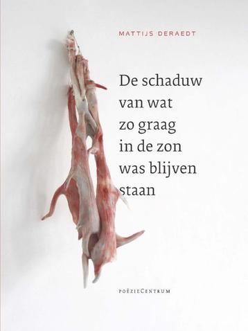 De schaduw van wat zo graag in de zon was blijven staan, Verzenden, Mattijs Deraedt