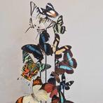 Papillon Support de corps entier pour taxidermie - Mix