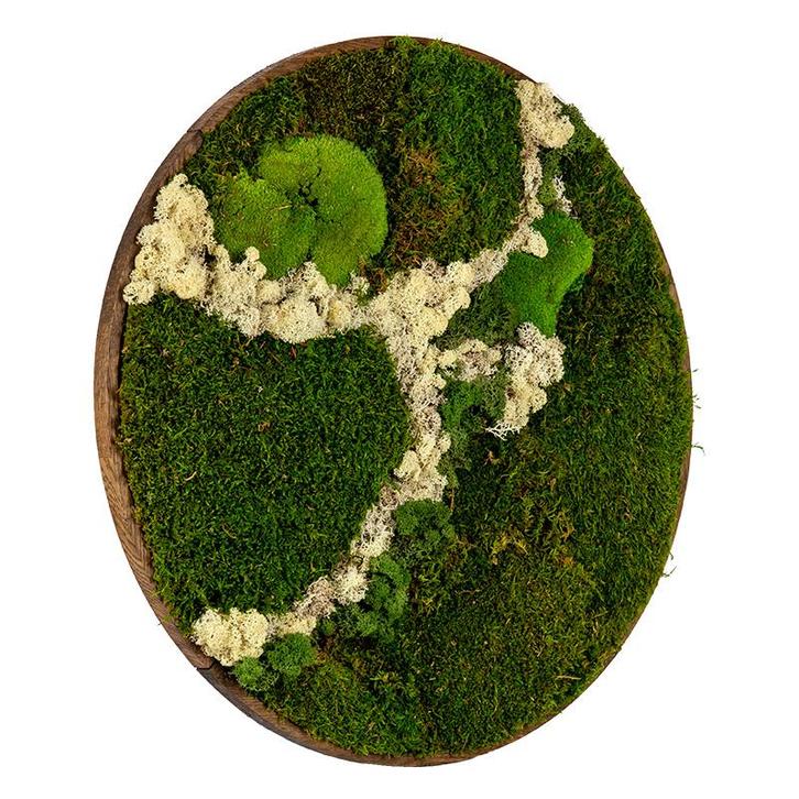 Mosschilderij Rond 60 cm Donker Eiken - Svendborg Latte, Huis en Inrichting, Woonaccessoires | Lijsten, Verzenden