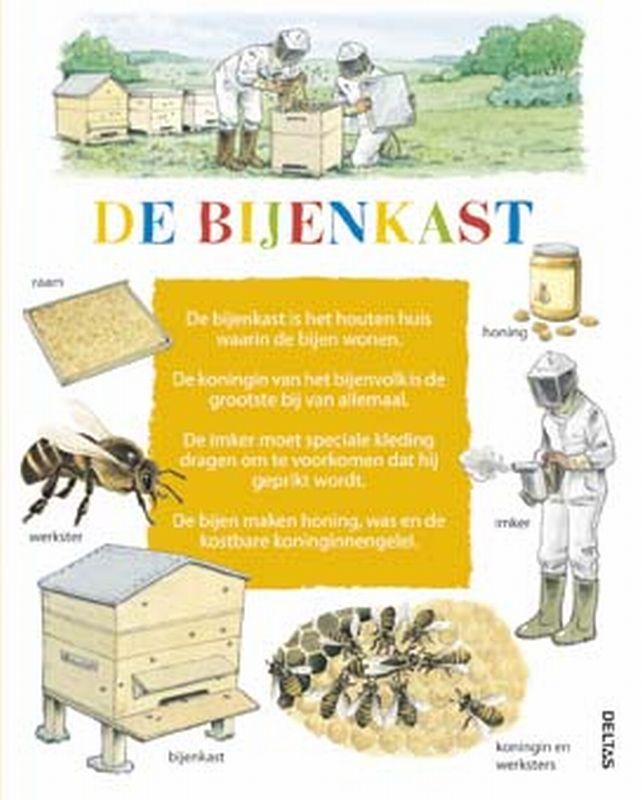 De bijenkast / Kijk om je heen! 9789044712483 Leon Rogez, Boeken, Overige Boeken, Zo goed als nieuw, Verzenden