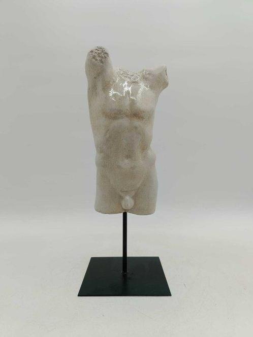 Sculpture, Torso maschile - 3,3 kg - 40 cm - poussière de, Antiek en Kunst, Curiosa en Brocante