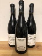 2021 Buisson-Charles Le Clos Sorbe - Morey St. Denis 1er, Verzamelen, Nieuw
