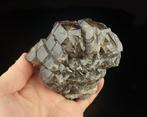Gros quartz fumé élestial Groupe de cristal - Hauteur : 90, Verzamelen, Mineralen en Fossielen