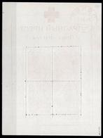 Duitse Rijk 1942 - Russland-Pleskau blokkuitgave Rode Kruis, Gestempeld