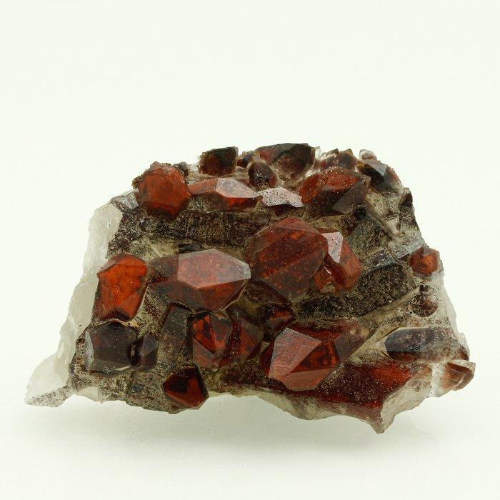 Geen RESERVE! Adembenemend Hematoïd Kwarts Kristalen -, Verzamelen, Mineralen en Fossielen