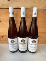 1994 Dr. Bürklin Wolf, Ruppertsberger Gaisböhl - Pfalz, Nieuw