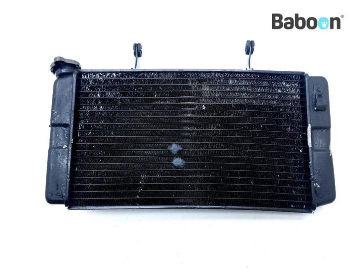 Radiateur Suzuki DL 1000 V-Strom 2002-2006 (DL1000), Motoren, Onderdelen | Suzuki, Gebruikt, Verzenden