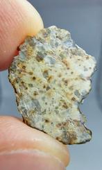 De mysterieuze niet-groep Achondriet NWA 15915. Vreemde