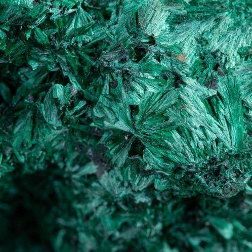 Malachite veloutée et fibreuse. - Hauteur : 126 mm - Largeur, Verzamelen, Mineralen en Fossielen