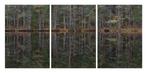 Bernhard Lang - Deep_Mirroring_Forest_002 - XXL, Triptych