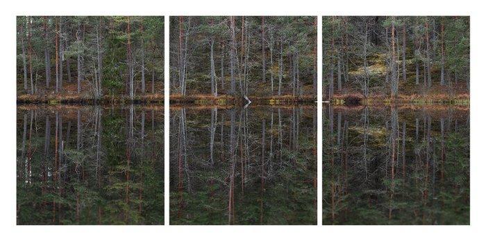 Bernhard Lang - Deep_Mirroring_Forest_002 - XXL, Triptych, Antiquités & Art, Art | Objets design