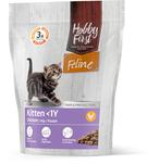 Feline kitten >1jaar 4,5kg, Dieren en Toebehoren