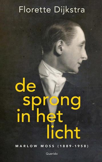 De sprong in het licht (9789021476773, Florette Dijkstra) beschikbaar voor biedingen