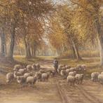 Dutch school (XIX-XX) - A shepherd and his flock of sheep