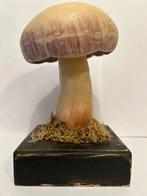 Anémomètre - Bois - 1920-1930 - Un champignon, Antiek en Kunst, Curiosa en Brocante