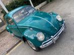 Volkswagen - Beetle 6v Saxomat - 1965, Auto's