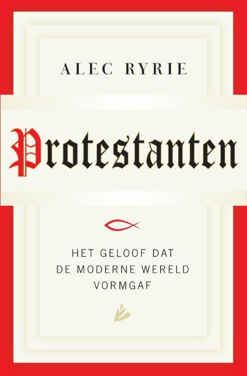 Protestanten 9789048825257, Boeken, Politiek en Maatschappij, Gelezen, Verzenden