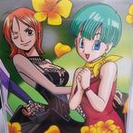 Nami & Bulma [Dragonball X One Piece] 40th Weekly Jump, Nieuw