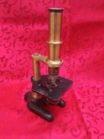 Mono-oog samengesteld microscoop - 1910-1920 - Duitsland -