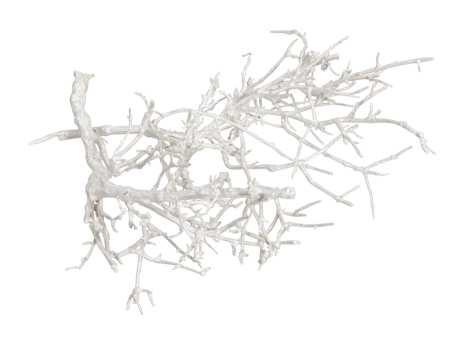 Dry tree, stronk, tak twijg white wash +/- 250 gr zeer, Hobby en Vrije tijd, Knutselen, Nieuw