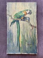Albert Klein Sprokkelhorst (1887-1968) - Papegaai