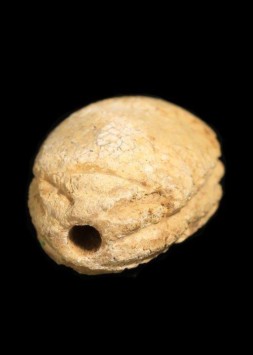 Oud-Egyptisch Speksteen Hyksos-periode scarabeus met, Antiek en Kunst, Antiek | Overige Antiek
