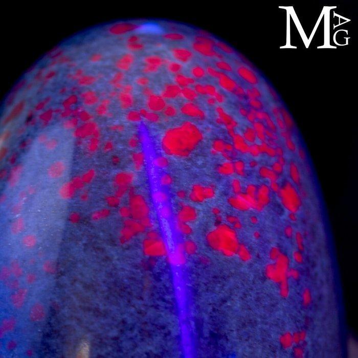 Heilig Shiva Lingam in robijn in Kyanite-matrix - Hoogte:, Verzamelen, Mineralen en Fossielen