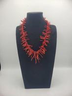 Bloedkoraal Koraal - Corallo Mediterraneo (Zonder