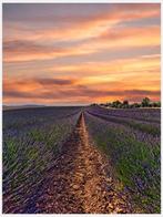 Fabian Kimmel - Southern France - Series of 4 - Frankreich