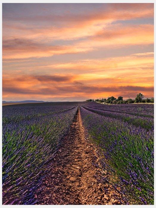 Fabian Kimmel - Southern France - Series of 4 - Frankreich, Antiek en Kunst, Kunst | Designobjecten