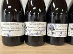 2023 Domaine Dandelion, Hautes Cotes de Beaune Hautes Cotes, Verzamelen, Nieuw