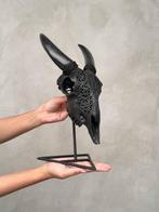 Sans prix de réserve - Crâne de chèvre noir authentique