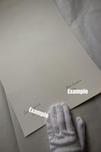 Marta Romashina - Translucent