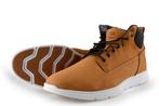 Timberland Hoge sneakers in maat 44 Cognac | 5% extra, Kleding | Heren, Schoenen, Overige kleuren, Verzenden, Timberland, Sneakers