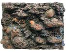 3D aquarium achterwand Os-44-1 Maat: 80x60x16cm ( decoratie), Verzenden, Nieuw