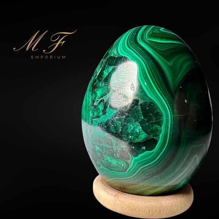 Ei van natuurlijke malachiet uit Congo van de hoogste, Collections, Minéraux & Fossiles