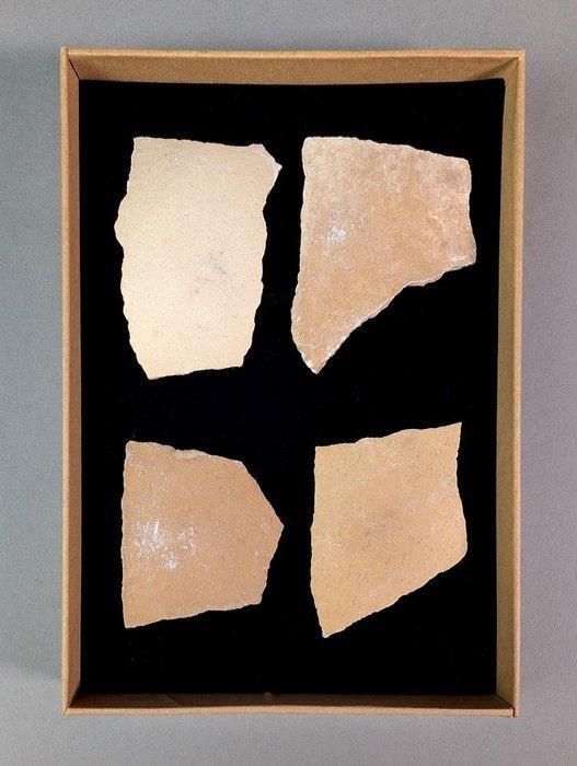 Aepyornis-eierfragment - Fossiel fragment - Aepyornis, Verzamelen, Mineralen en Fossielen