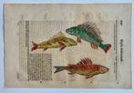 Ulisse Aldrovandi - De Piscibus Libri V - 1638