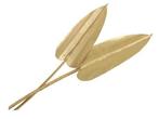 Palm Arrow 25- Goud Gold wash Palm blad, Nieuw