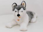 Steiff Bernie Husky 104961 60 cm hoog #4577, Collections, Ophalen of Verzenden, Overige typen
