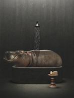 Mr Strange (XX-XXI) - Hippopotamus Bath