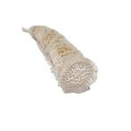 ***Verzamelobject*** Het filigrane wonder van de diepe zee