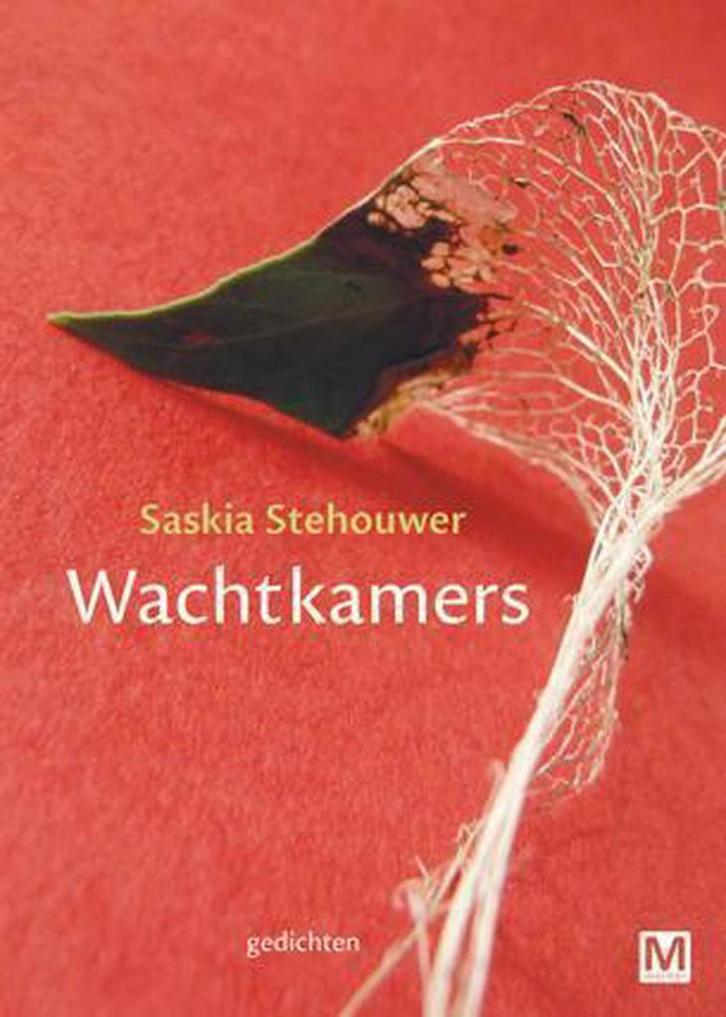 Wachtkamers 9789460682216 Saskia Stehouwer, Livres, Poèmes & Poésie, Envoi