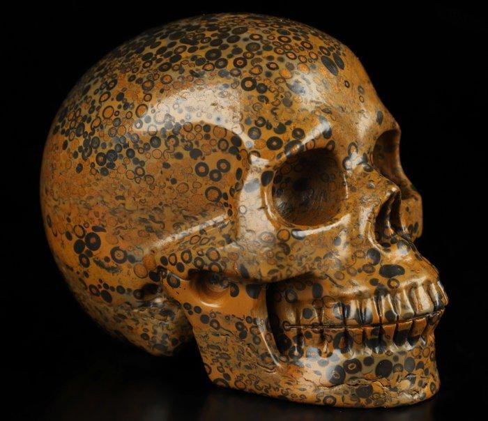 Jaspis 678 g 9,80 x 7,50 cm Mexico AA Jasper Magic, Verzamelen, Mineralen en Fossielen