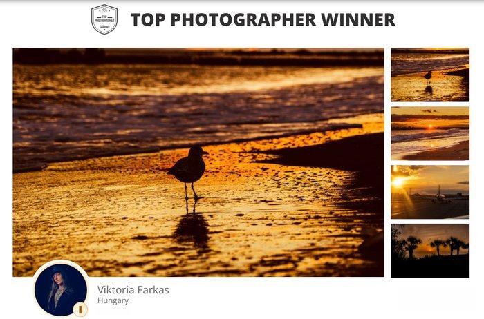 Viktoria Farkas - Solitude on Coney Island, Antiek en Kunst, Kunst | Designobjecten