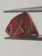 Natural red rhodolite Garnet - 2.370 ct - Rough Gemstone - f, Verzamelen, Mineralen en Fossielen, Verzenden