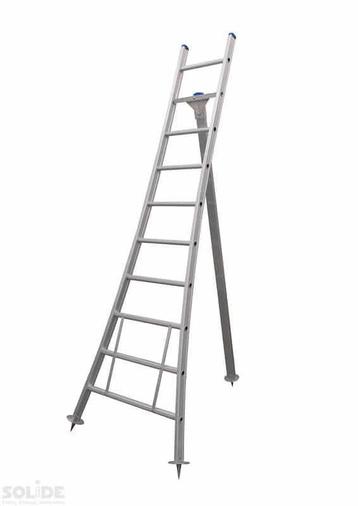 Solide plukladder 10 sporten – 2.75m, Ophalen of Verzenden, Ladder