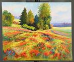 Christiane Stenfort - Coquelicots dans le Vexin