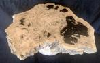 Fossiel hout - Gefossiliseerd hout - 4 cm - 40 cm  (Zonder