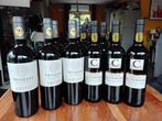 2019 Château La Courtiade, Trisquel Gran Reserva Aresti -, Verzamelen, Nieuw